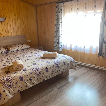 Casa Blendea Daniela Hotell Cîrţişoara Eksteriør bilde