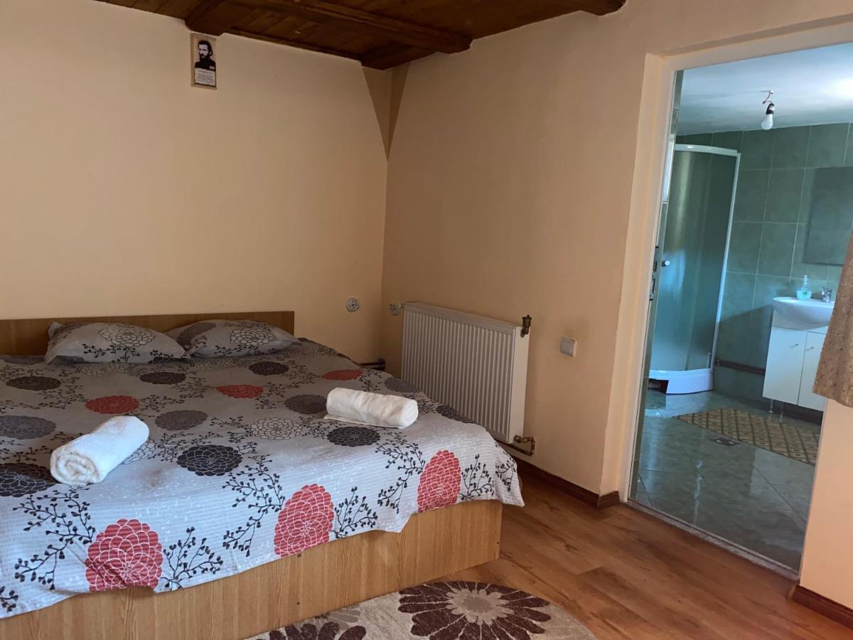Casa Blendea Daniela Hotell Cîrţişoara Eksteriør bilde